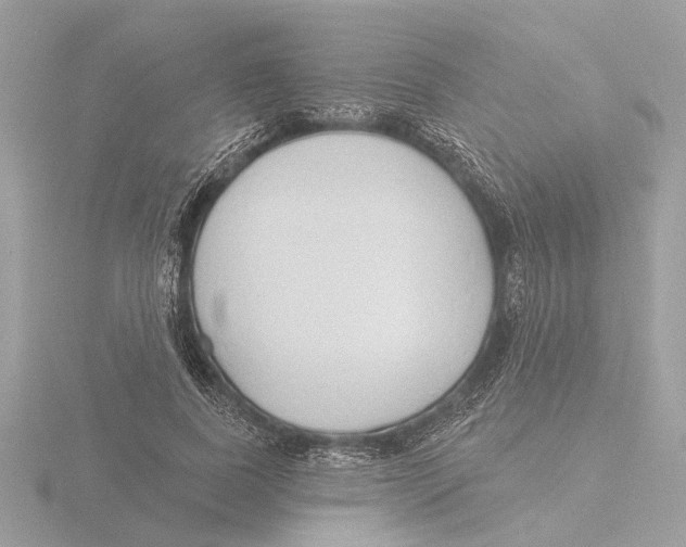 X0000116150739200912211508