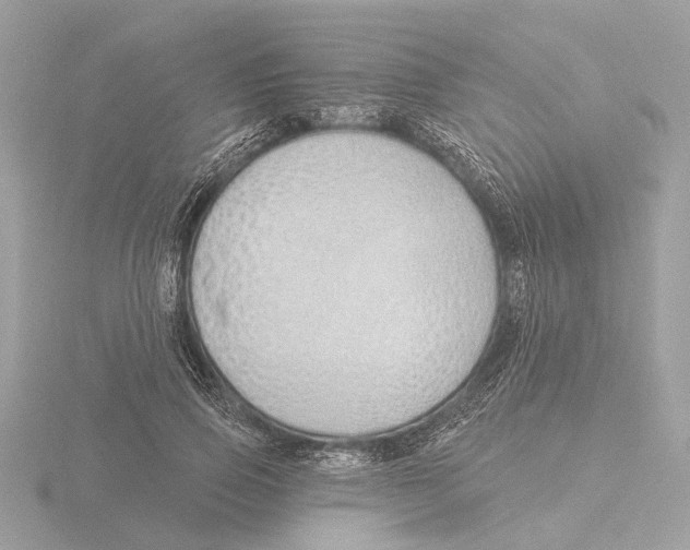 X0000116150741200912211508