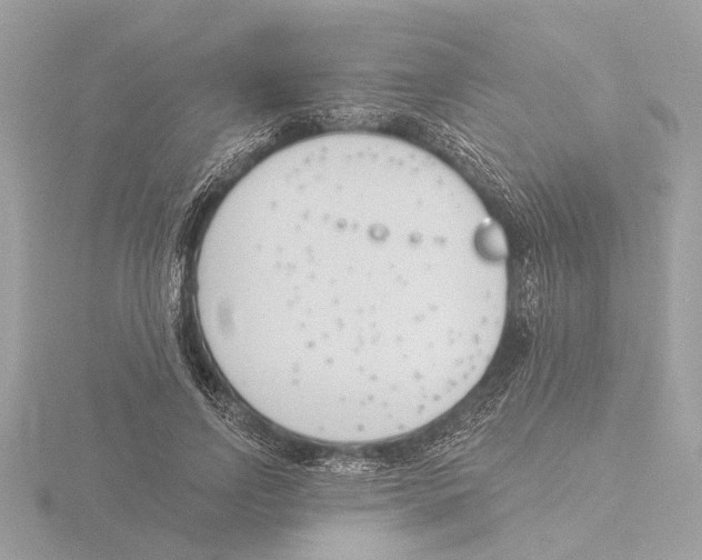 X0000116150742200912211508