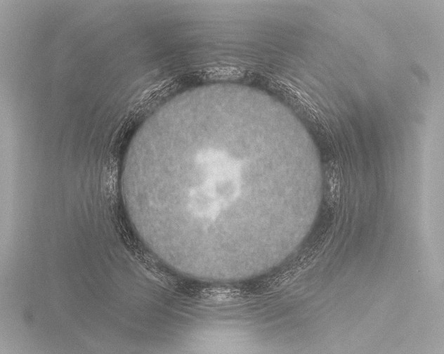 X0000116150745200912211508