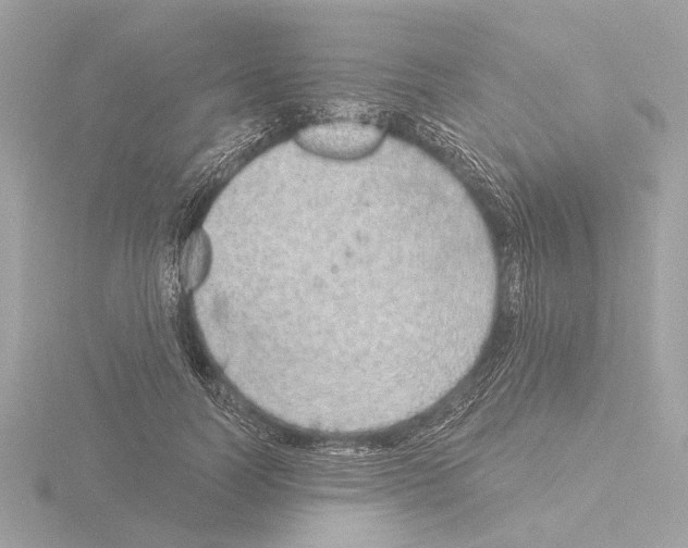 X0000116150746200912211508