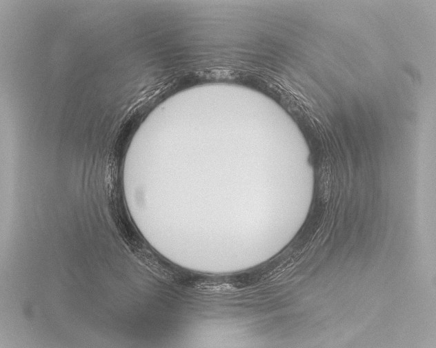 X0000116150747200912211508