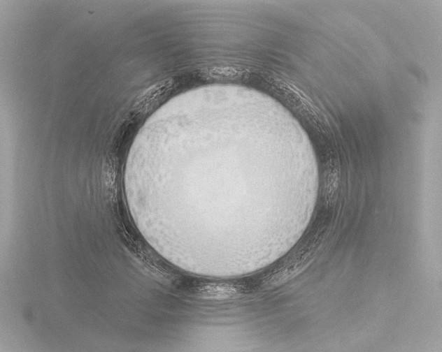 X0000116150749200912211508