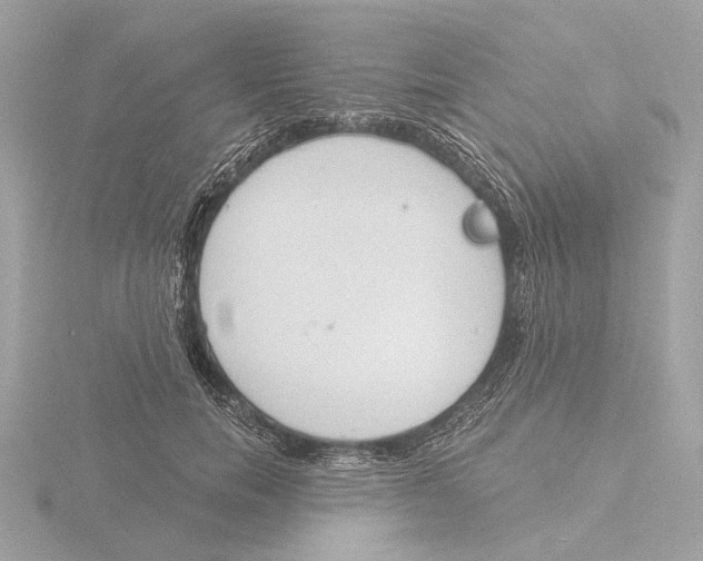 X0000116150750200912211508