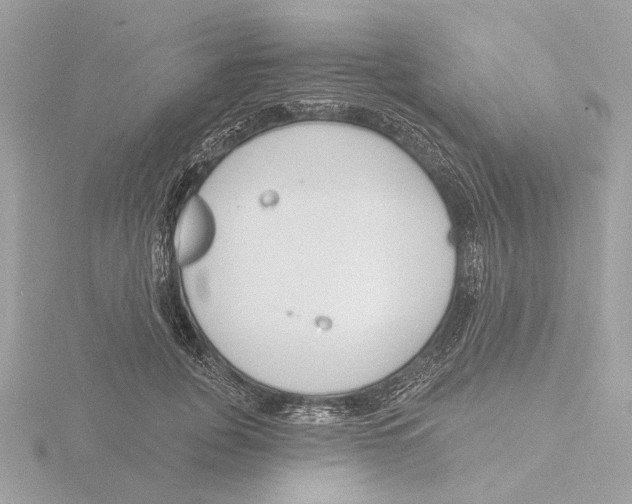 X0000116150751200912211508