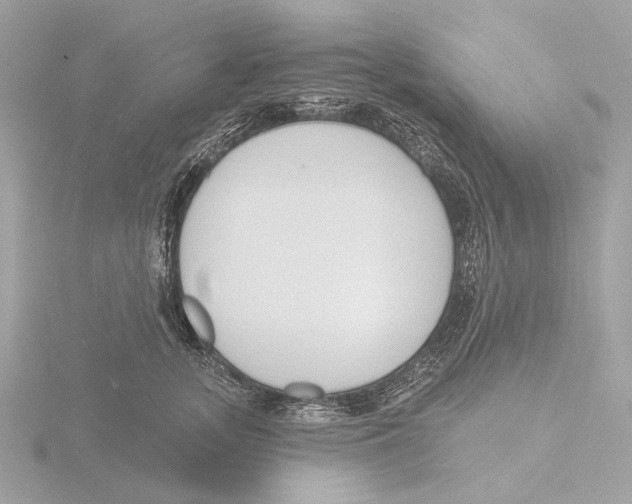 X0000116150755200912211508