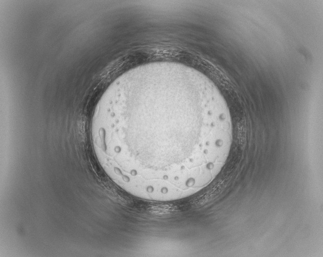 X0000116150757200912211508