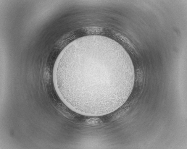 X0000116150761200912211508