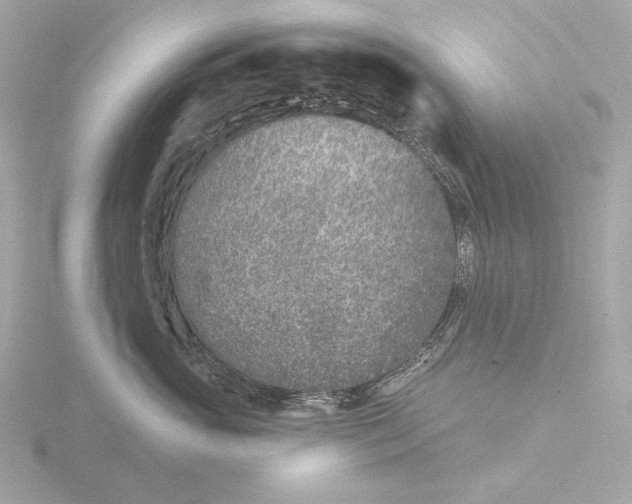 X0000116150765200912211508