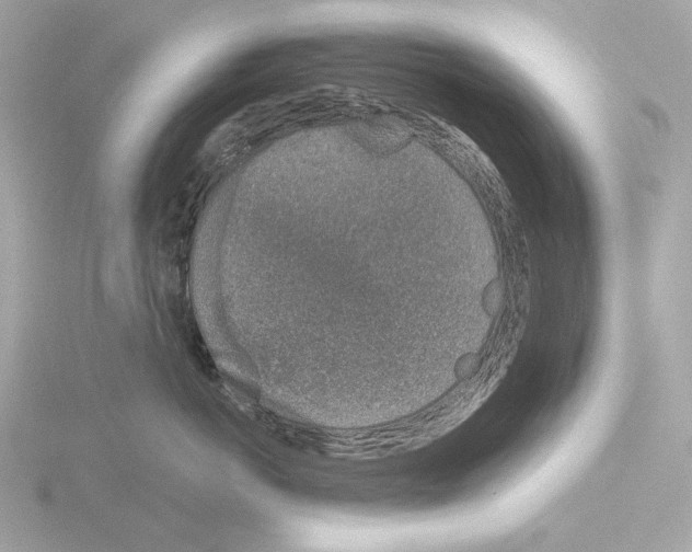 X0000116150766200912211508