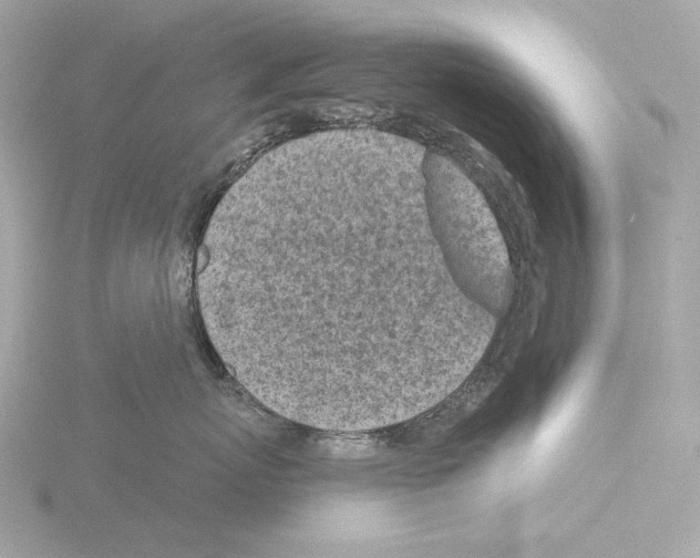 X0000116150767200912211509