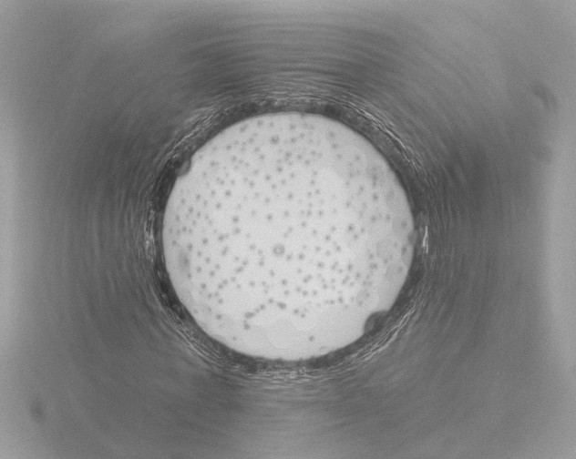 X0000116150771200912211508