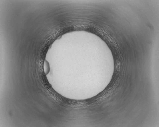 X0000116150772200912211508