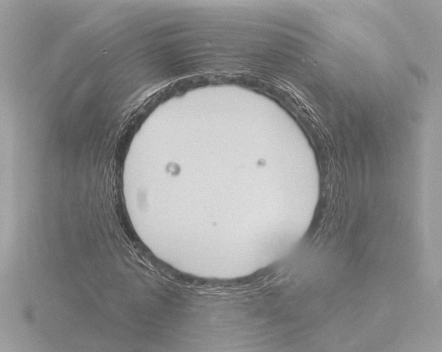 X0000116150773200912211508