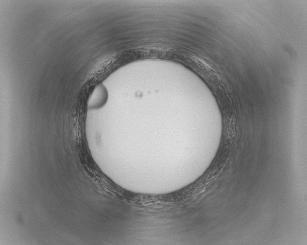 X0000116150774200912211508