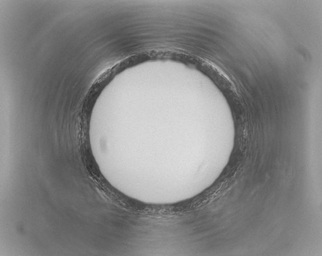 X0000116150775200912211508