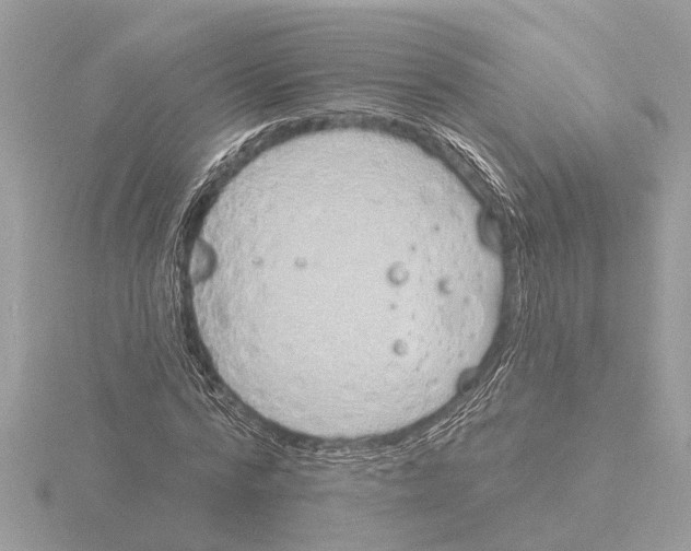 X0000116150776200912211508