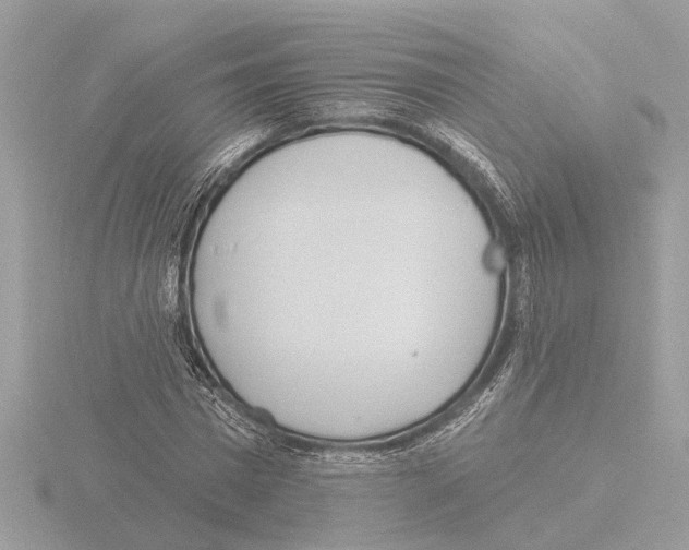 X0000116150777200912211508