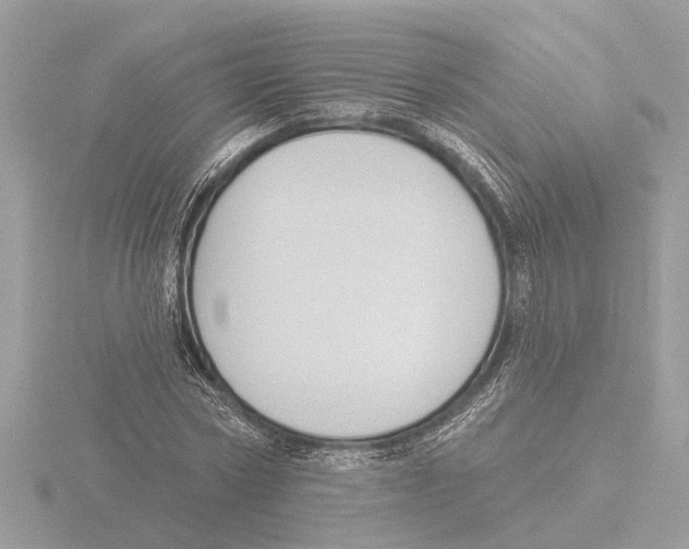 X0000116150778200912211508