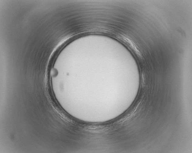 X0000116150780200912211508