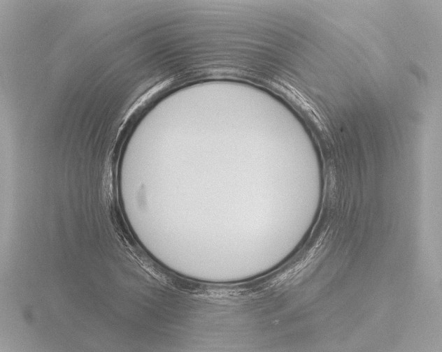 X0000116150782200912211508