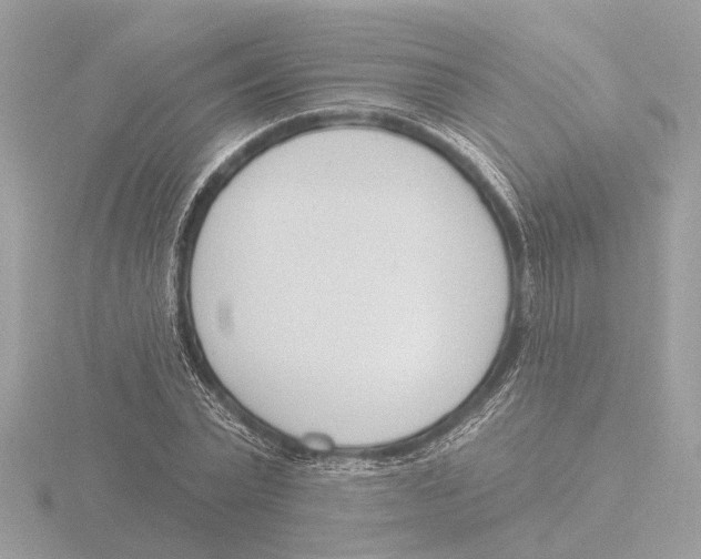 X0000116150783200912211508