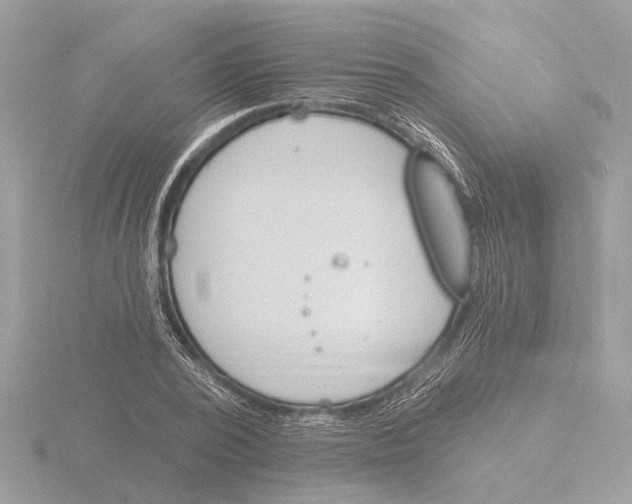 X0000116150784200912211508