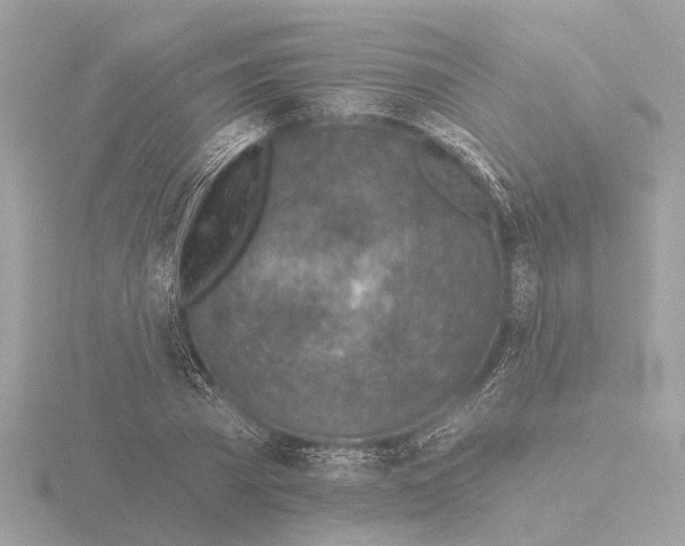 X0000116150785200912211508