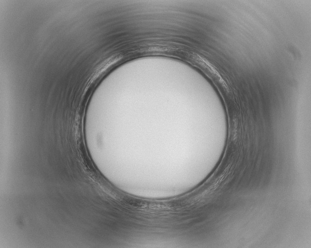 X0000116150786200912211508