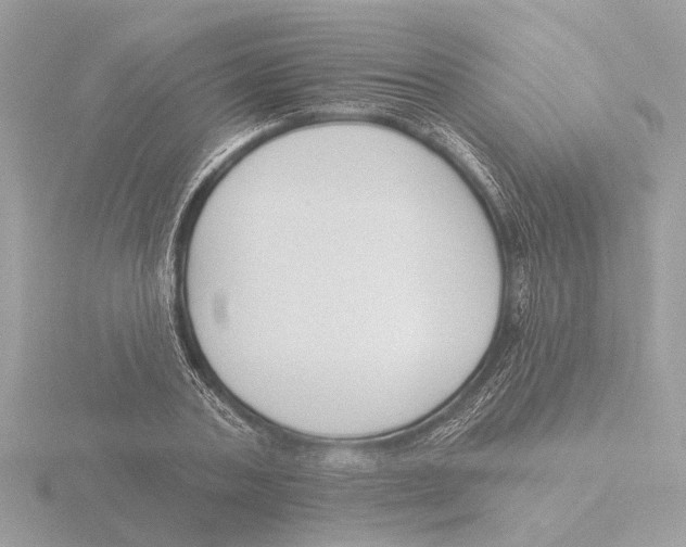 X0000116150787200912211508