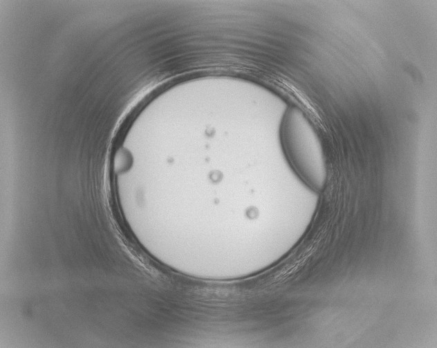 X0000116150788200912211508