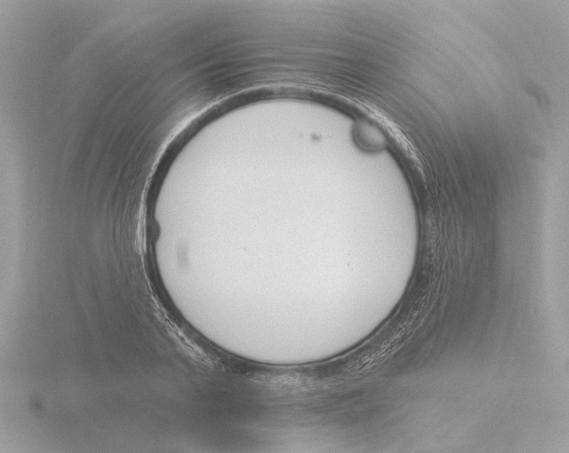 X0000116150791200912211508