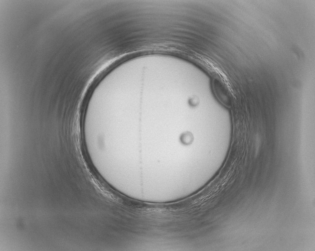 X0000116150792200912211508