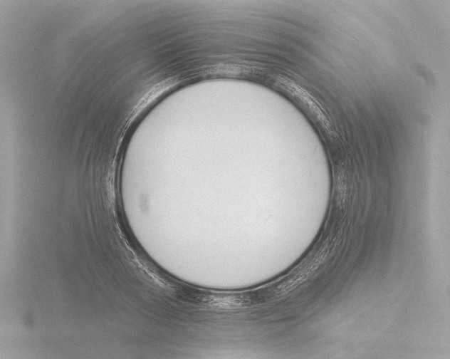 X0000116150794200912211508