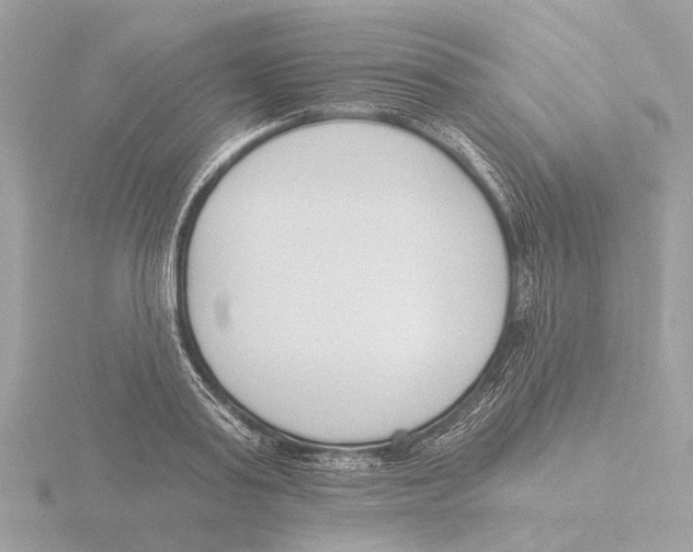 X0000116150795200912211508