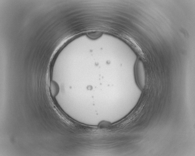 X0000116150796200912211508