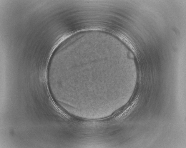 X0000116150797200912211508