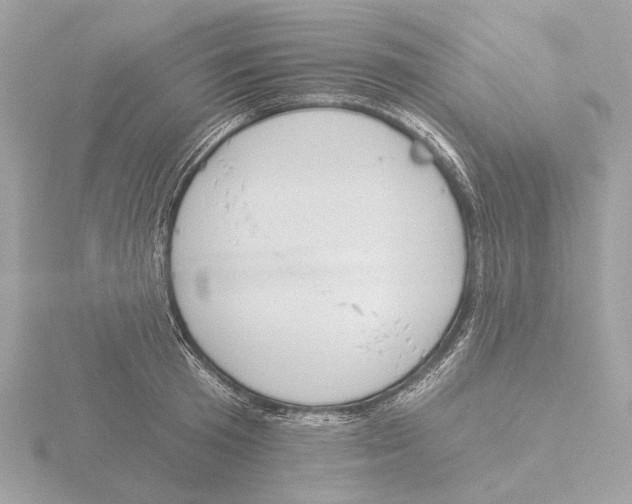 X0000116150801200912211508