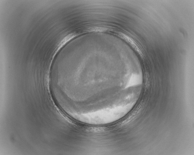 X0000116150802200912211507