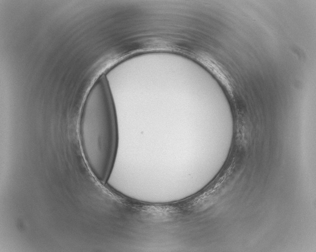 X0000116150805200912211507