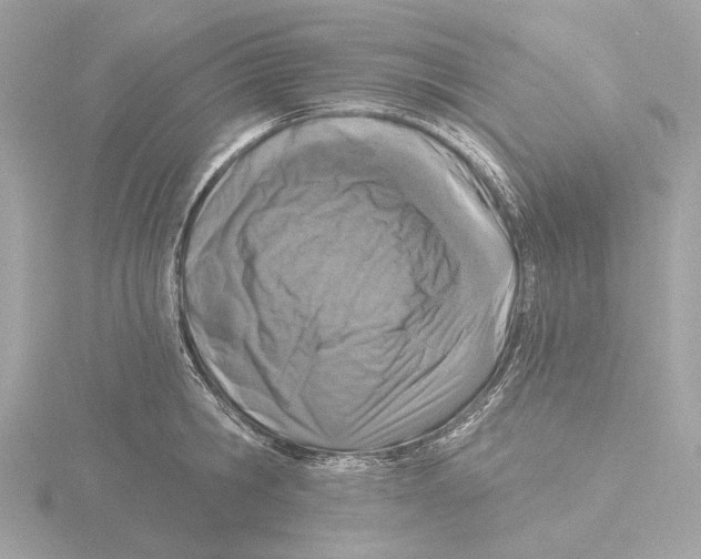 X0000116150806200912211507