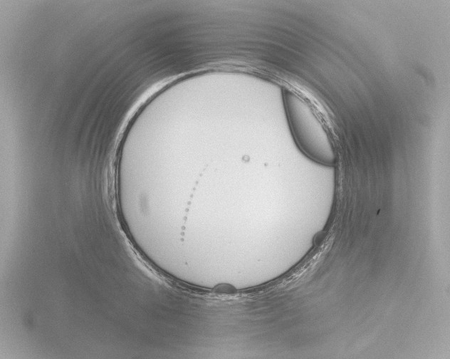 X0000116150808200912211507