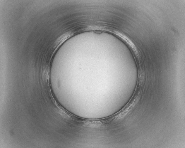 X0000116150809200912211507