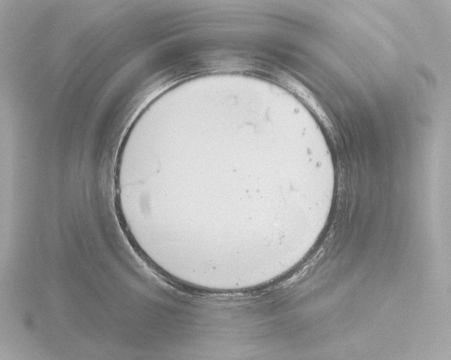 X0000116150810200912211507