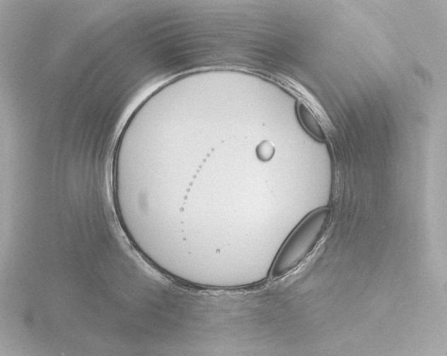 X0000116150812200912211507