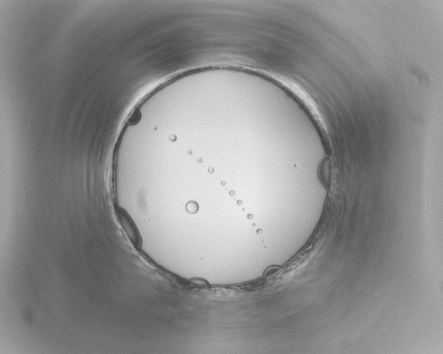 X0000116150815200912211507