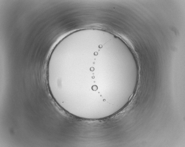 X0000116150816200912211507