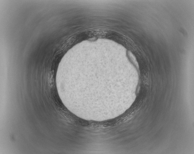 X0000116150818200912211507