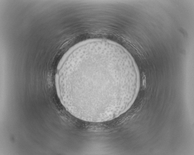 X0000116150819200912211507