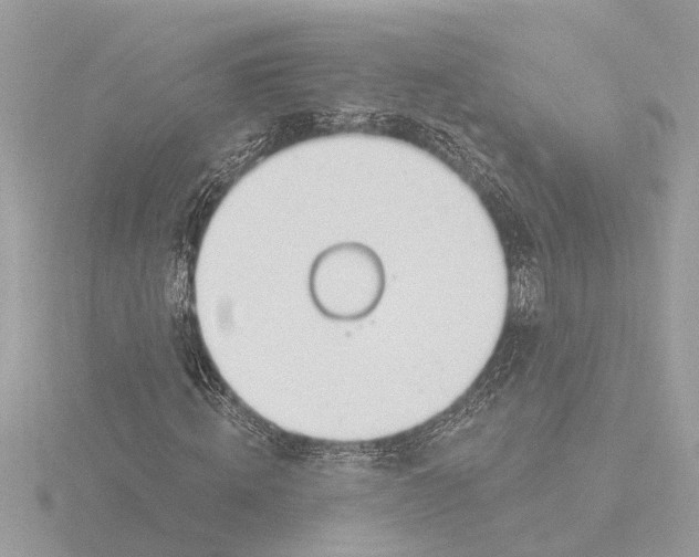 X0000116150820200912211507